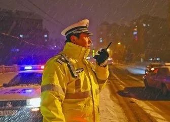 番动画 番动画信息密度高得吓人海报