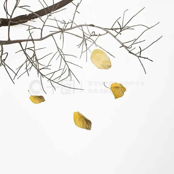 91国内揄拍国内精品对白