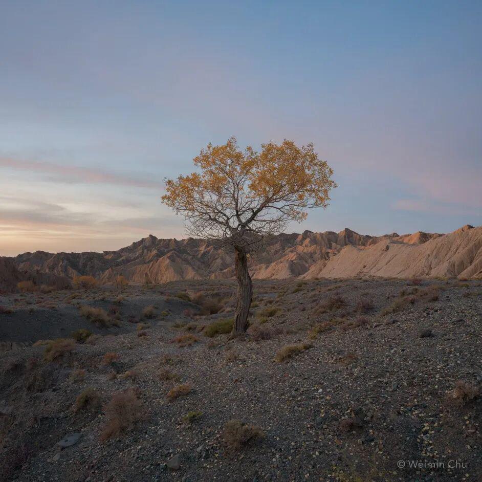 吃瓜聚集地166海报