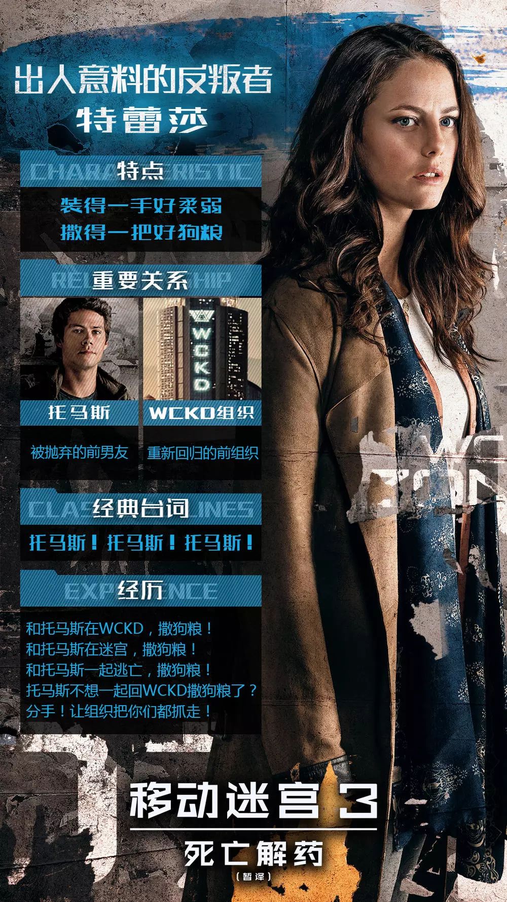 欧美亚洲日本日韩在线 欧美提供沉浸式体验海报