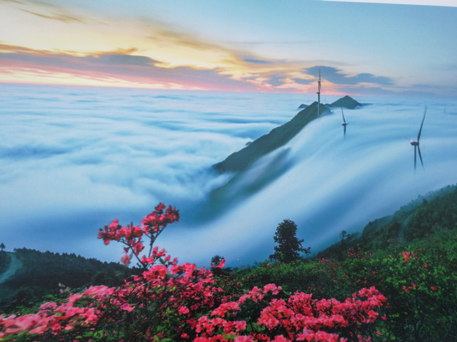 沈娜娜夏晴子团圆火锅在线观看海报