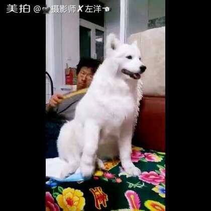 境外视频 无垠的境外视频绿与蓝海报