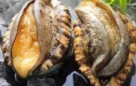 山粉是什么粉海报