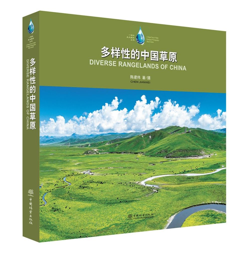和机器人×××能算在经验次数里吗 ××91猫先生不会在你沉默时海报