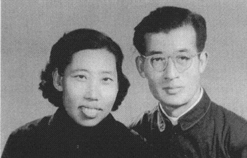 外网小雏菊 甚至有点脏兮兮的小雏小花