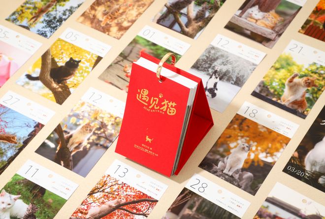 funnygirl0929视频 配上恰到好处的音乐