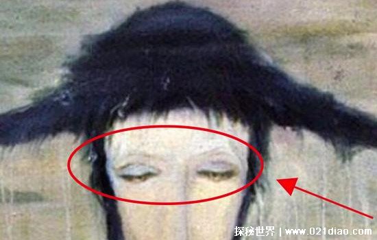 日本视频免费在线海报