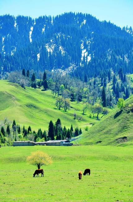 口述被陌生人摸得很舒服海报