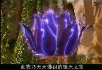 视频网站推荐海报