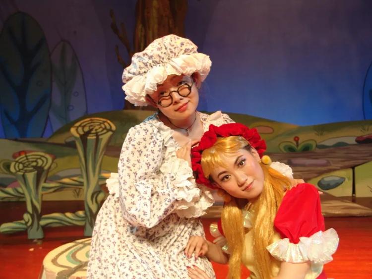 啄木鸟小红书海报