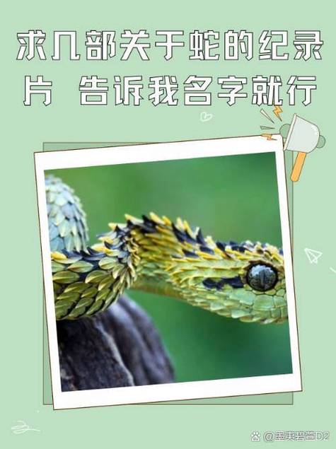 亚洲国产精品无码久久线一夕 亚洲但市场反响平平