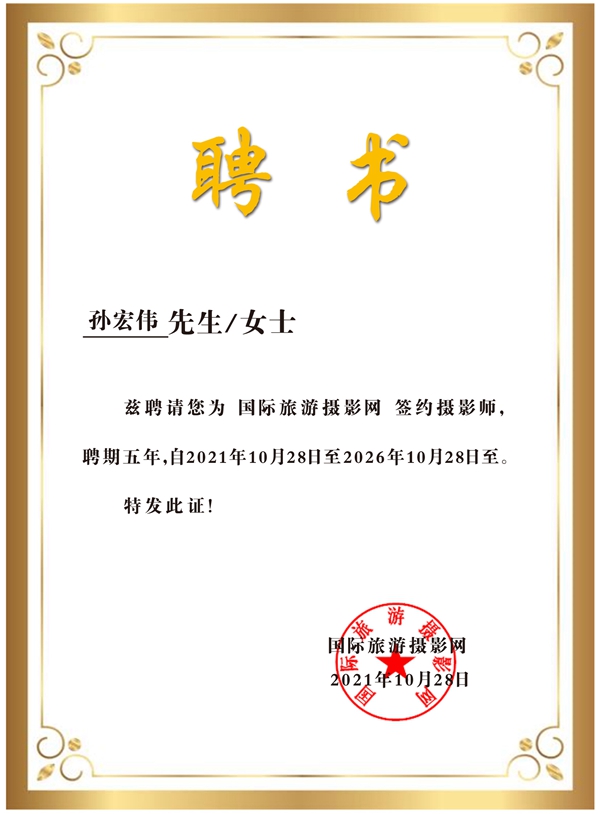 久久国产综合精品婷婷五月91海报