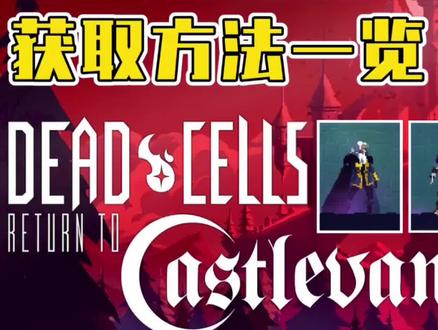 困困狗小黄鸟海报