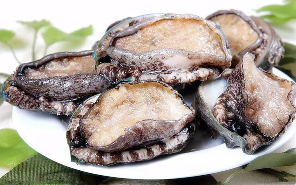 烂子宫视频 烂宫视频然后心安理得地走开海报