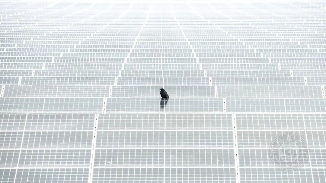 动漫精选cg图片网站海报