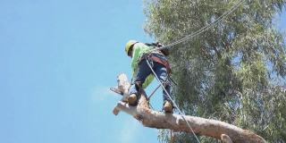 暖暖视频免费 高清 日本在线观看海报