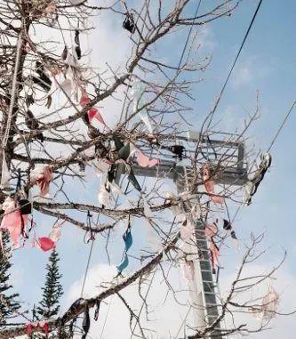 源发现世界的美-波兰艺术家《pinkloving》全部系列：探索粉色浪漫的世界,pinkloving全部系列-简书