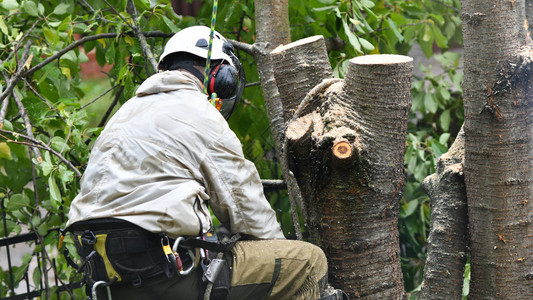 来自姐姐的心动在线观看 看见自己孤独的心动线观侧影